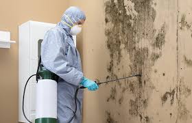 Why You Should Choose Our Mold Remediation Services in (206) 803-13630